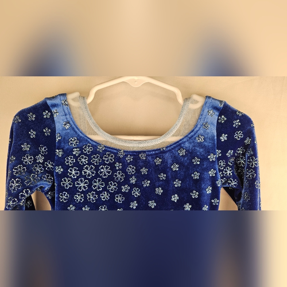 NWT Blue Youth Size 4-6 Skating Dress Tulle Sparkly Floral Scrunchy - Picture 3 of 10